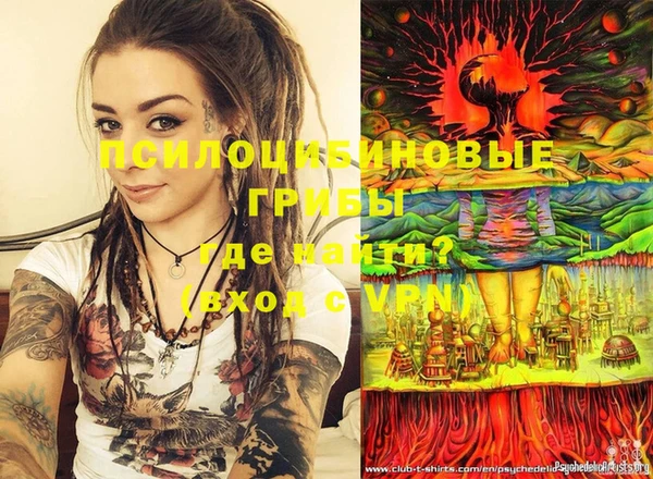 марки nbome Новозыбков