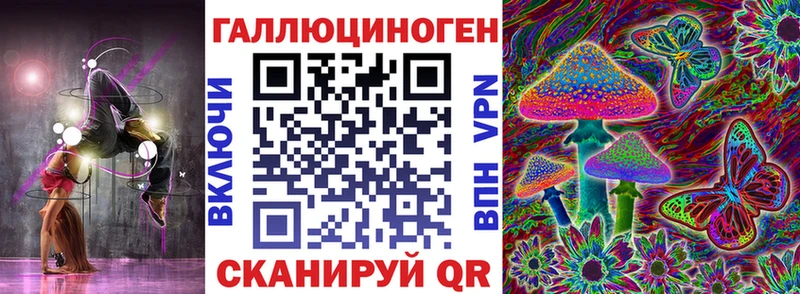 Псилоцибиновые грибы Psilocybine cubensis  Холм 